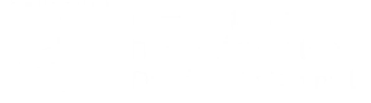 Dublin City Council